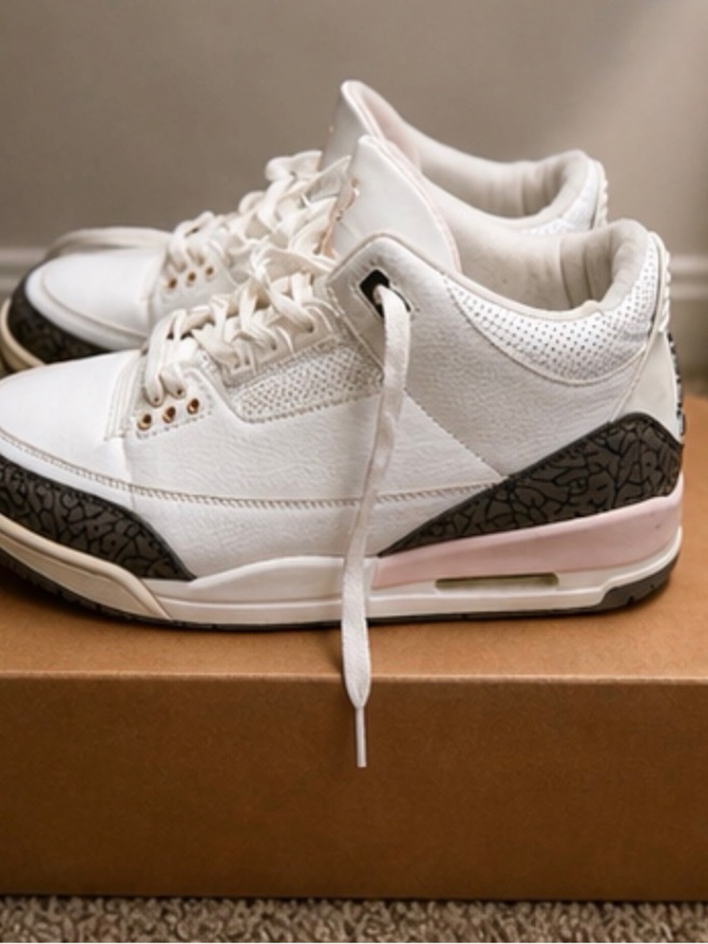 Jordan Neapolitan